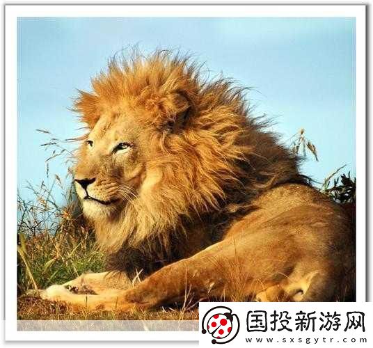 美國Zoom動(dòng)物園：1.-探索迷人的動(dòng)物世界：Zoom動(dòng)物園的奇妙之旅