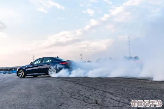 四葉草歐洲和國(guó)產(chǎn)區(qū)別