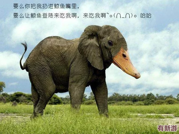 剛?cè)胨杏X巨大的東西在動狗-夢幻般的奇遇讓人驚嘆不已-腦海中浮現(xiàn)無數(shù)奇妙場景