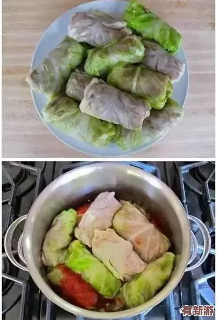 江教授要穩(wěn)住肉餡小水餃美國