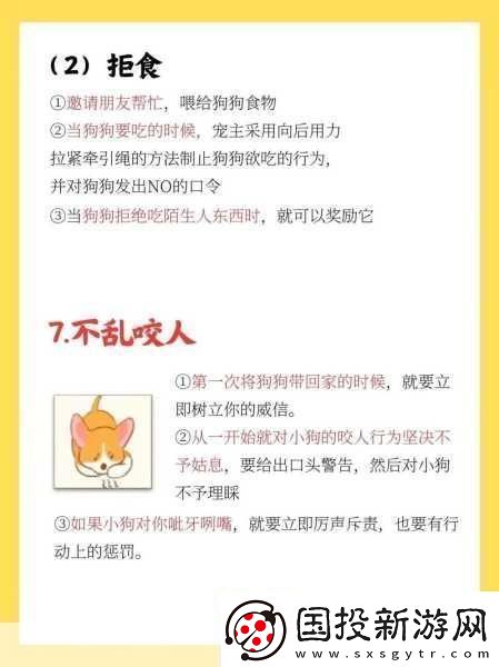 籃球隊(duì)的公共玩具正偉：1.籃球隊(duì)的公共玩具：團(tuán)結(jié)與樂(lè)趣的象征