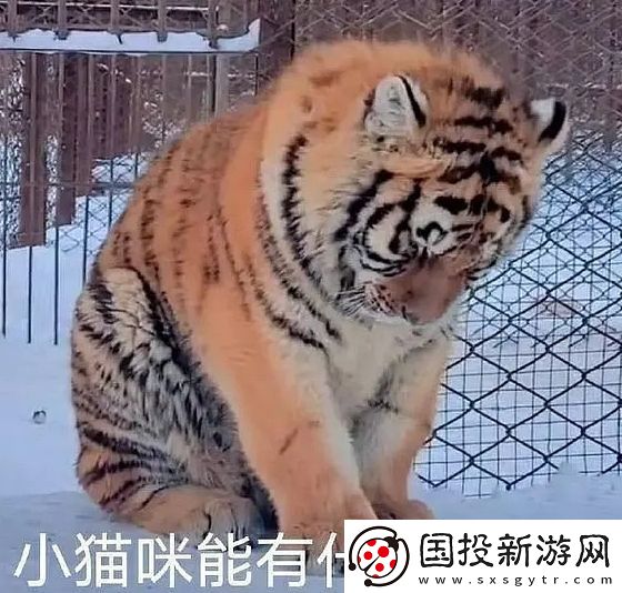 能有什么壞心眼呢是什么梗網(wǎng)絡(luò)用語(yǔ)-能有什么壞心眼呢梗意思及出處分享