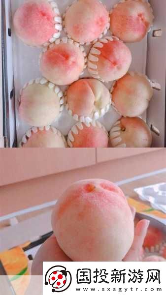 SN3858粉色水蜜桃