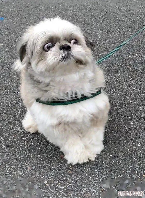 男生女生在一起嗟嗟嗟原聲引發(fā)熱議