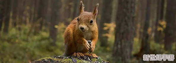 ZoomZookeeper動(dòng)物