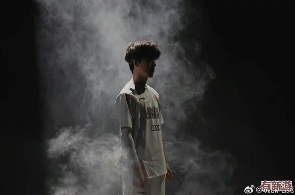 theshy現(xiàn)在在哪個(gè)隊(duì)-了解他的職業(yè)生涯與當(dāng)前戰(zhàn)隊(duì)動(dòng)態(tài)