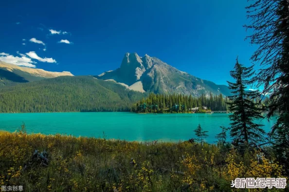 仙境傳說(shuō)RO：守護(hù)永恒的愛(ài)手游珍稀道具揭秘——獨(dú)家解鎖黃色駕駛員頭帶的隱藏獲取策略