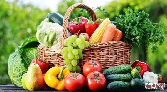 911免費(fèi)吃瓜活動(dòng)火熱進(jìn)行中-參與者可享受多種美味水果-快來(lái)體驗(yàn)這個(gè)夏季的清涼盛宴！