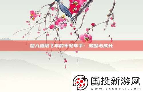 加入極限飛車的年輕車手：激勵(lì)與成長(zhǎng)