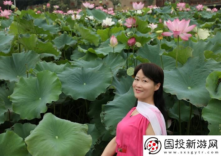 荷塘月色下的網(wǎng)絡(luò)謎團(tuán)：女網(wǎng)友的“荷花”暗語解析