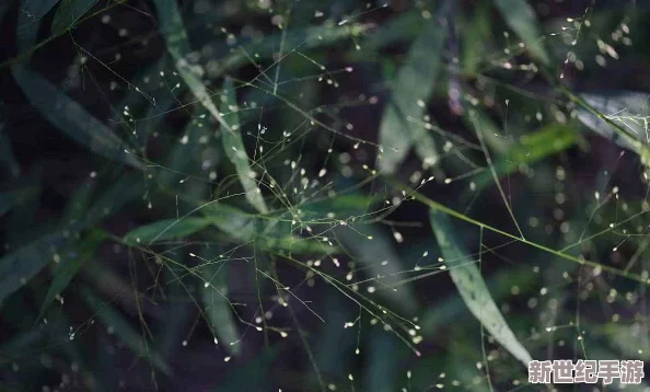 含羞草實(shí)驗(yàn)所隱藏2024-謹(jǐn)小慎微-不露聲色-暗藏玄機(jī)