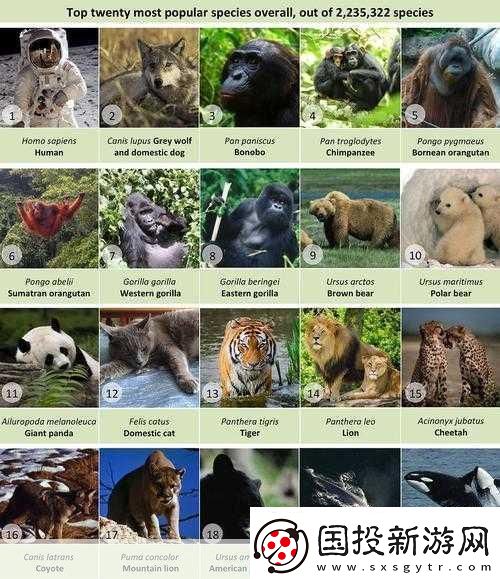 Zoom與人性Zoom的區(qū)別：1.-＂Zoom與人性：虛擬溝通的局限與深度