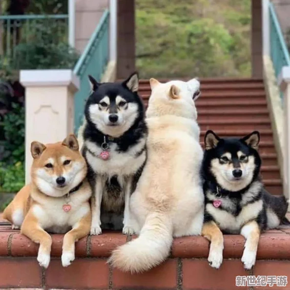 把佛珠一個一個擠出去啊哈信白-網(wǎng)友熱議其背后深意與文化傳承的影響力