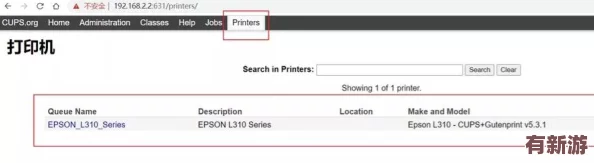 win11共享打印機設(shè)置：詳細(xì)步驟與注意事項-輕松實現(xiàn)多設(shè)備打印共享體驗