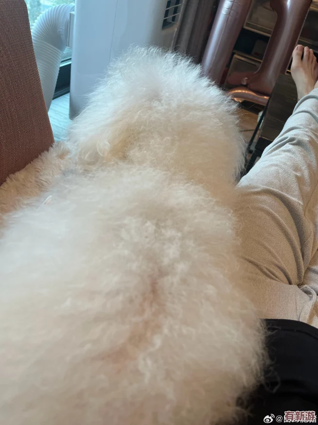 豐滿多毛的大隂戶毛茸茸-用戶稱贊其質(zhì)感細(xì)膩-帶來前所未有的舒適體驗(yàn)-令人難以忘懷