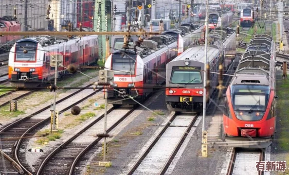 性XXXX德國(guó)老婦胖老太肥肥