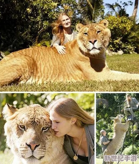 歐美人與牲禽動(dòng)交com