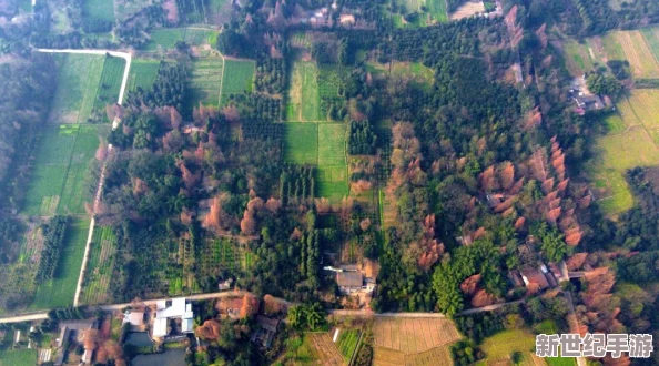 2018中字文墓：探討這一歷史遺址的文化意義與考古價(jià)值-揭示其在中國(guó)古代文明中的重要地位與影響