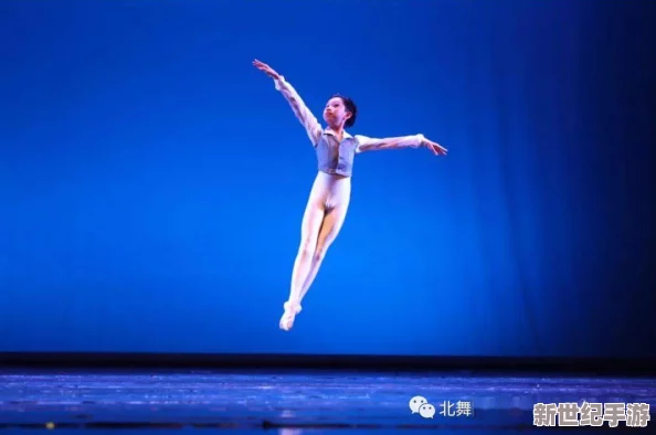 優(yōu)美的芭蕾李欣趙峰