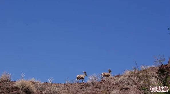 英雄無敵紀(jì)元