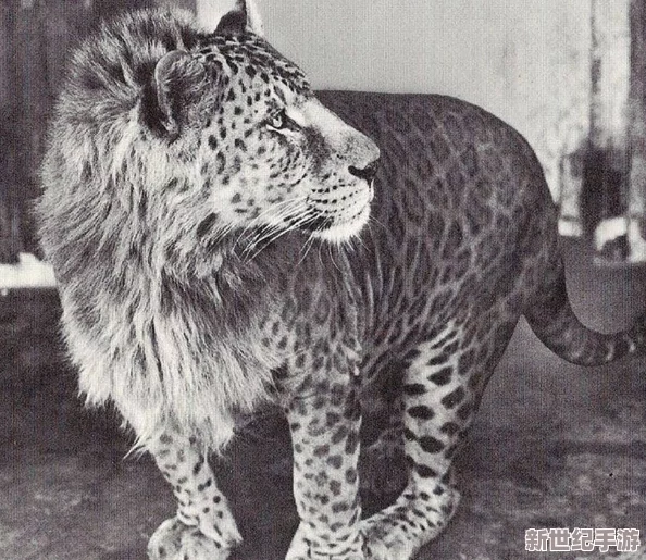 歐美人與牲禽動(dòng)交com：探討人類與動(dòng)物之間的復(fù)雜關(guān)系及其對(duì)社會(huì)倫理的影響