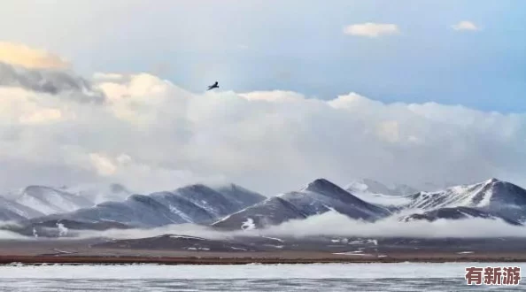 勇者大作戰(zhàn)6月12日震撼啟航-上午10點(diǎn)新區(qū)盛宴攜多重活動(dòng)火爆來(lái)襲！