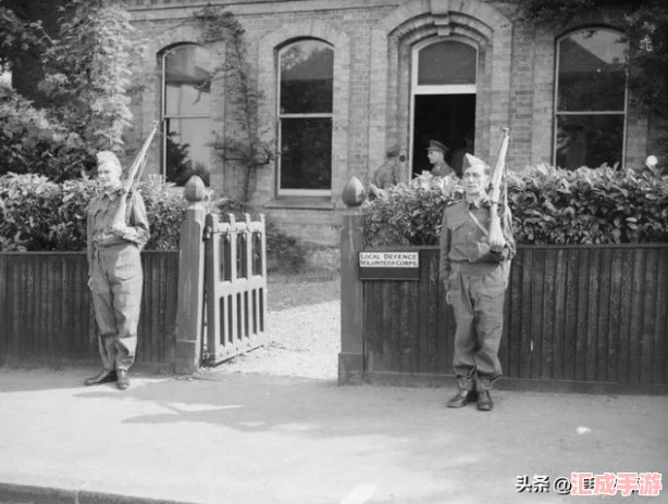 極致策略-解鎖保衛(wèi)蘿卜無限挑戰(zhàn)全攻略：打造無敵防線秘籍