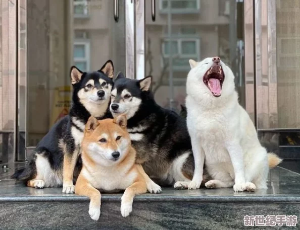 把佛珠一個(gè)一個(gè)擠出去啊哈信白