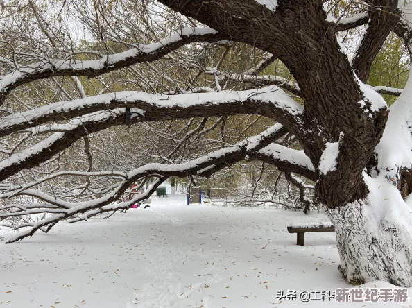 沈陽45歲這聲音也沒誰了