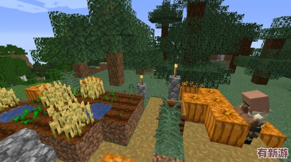 暴躁老外玩minecraft中國