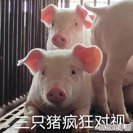 在＂人or豬or狗＂中探尋生命本質(zhì)：馴化與共存的奧秘之旅