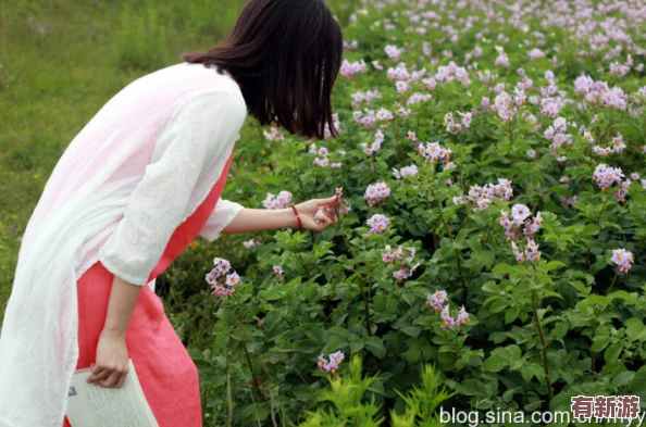 嫩白12seX摘花hd-美不勝收-令人陶醉