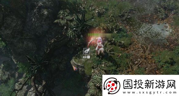 命運(yùn)方舟大雨林摩可可種子怎么收集