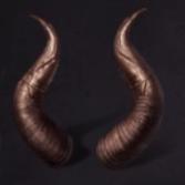 龍息神寂神器選哪個(gè)