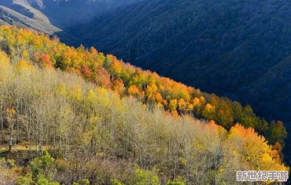 鄉(xiāng)村狂想曲v1.7.4安卓版：體驗田園生活的樂趣與挑戰(zhàn)-感受獨特的游戲魅力與創(chuàng)新玩法