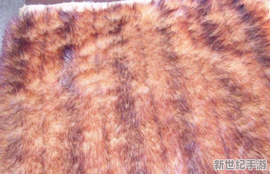 AAAA級(jí)毛皮是純還是仿