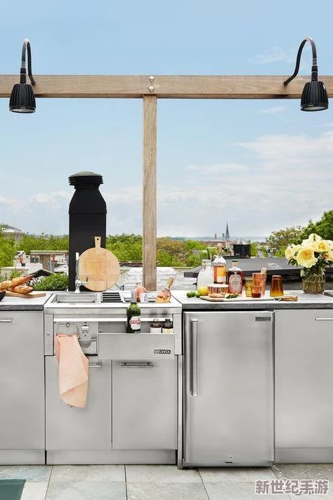 瘋狂廚房2雙人游戲3：與好友一起挑戰(zhàn)極限-體驗烹飪的樂趣和緊張刺激的合作模式！