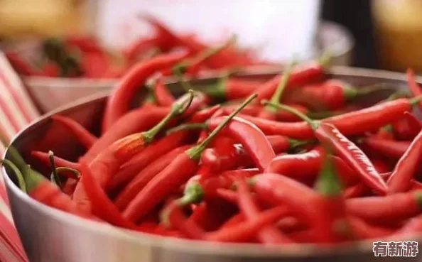 臺(tái)北娜娜必吃的51吃瓜網(wǎng)今日吃瓜