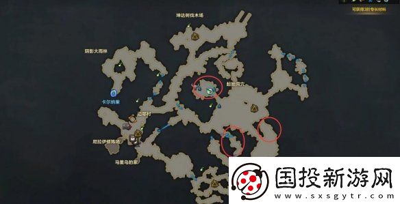 命運(yùn)方舟大雨林摩可可種子怎么收集