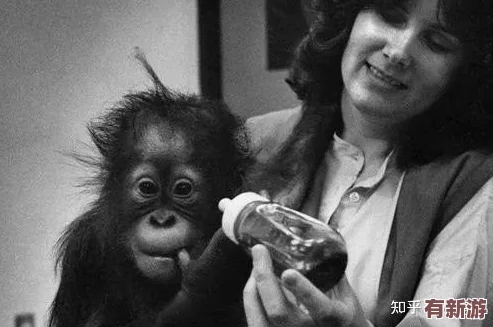 嘼皇bestialityvideo：探討動(dòng)物與人類之間的倫理界限及其對社會(huì)道德觀念的影響