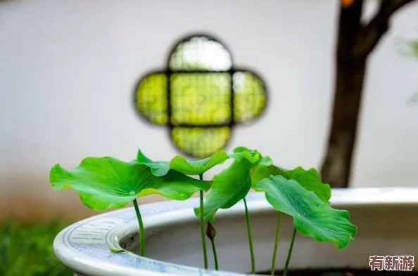 桐桐銅銅水好多