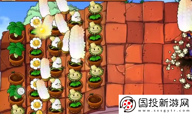 植物大戰(zhàn)僵尸無雙版下載手機(jī)版地址-植物大戰(zhàn)僵尸無雙版最新下載鏈接