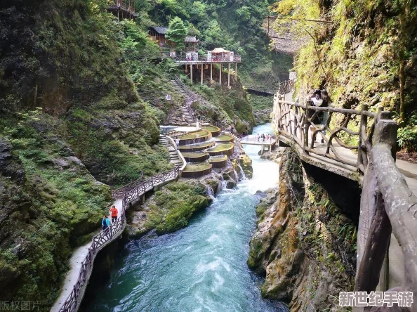 手不安分地探入森林-尋找隱藏在樹影間的神秘生物與自然之美-感受大自然的無窮魅力與生命的奇跡
