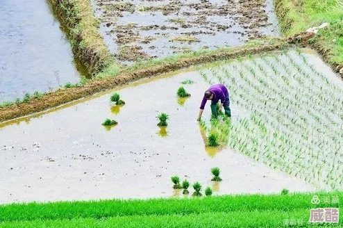 情侶插秧姿勢參考繪畫真人圖片