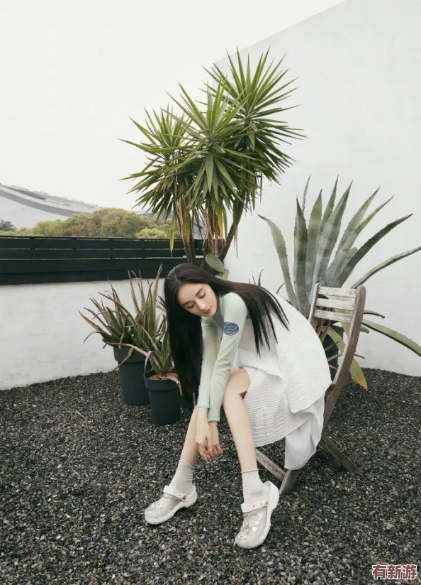 女王修養(yǎng)期-部落沖突11本高手獨(dú)門拖鞋狗球戰(zhàn)術(shù)輕松攻克堅(jiān)固10本防線