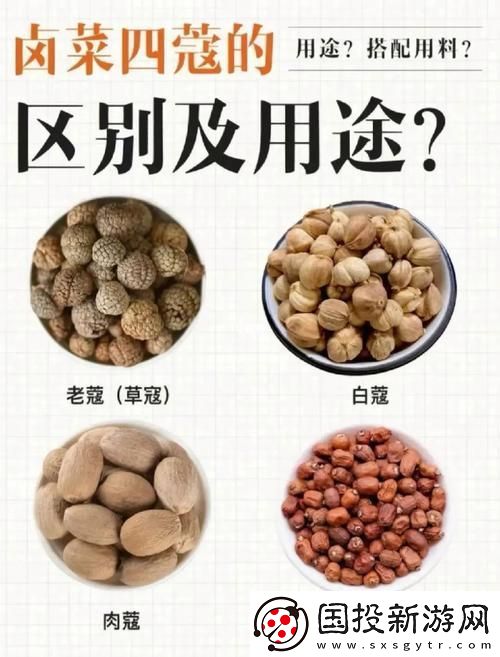 “深入了解BBBBB和BBBBBB的用法和作用”