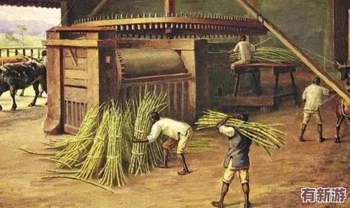 巴西人性春猛交乂乂乂