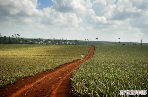 大菠蘿福建導(dǎo)航：深入了解這一獨(dú)特平臺(tái)的功能與用戶體驗(yàn)-助你輕松找到理想目的地