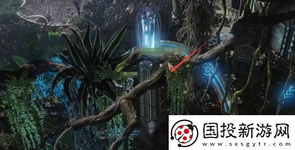 命運(yùn)方舟大雨林摩可可種子怎么收集