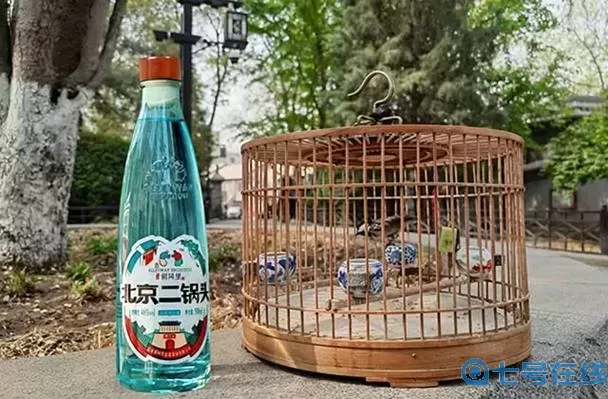 小小村長二鍋頭有什么用